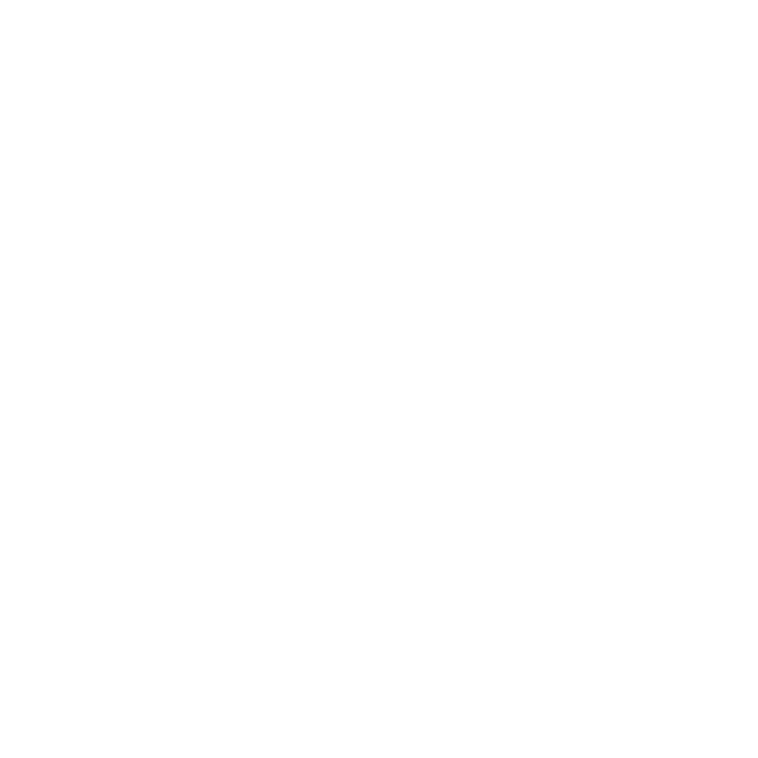 our-team-netray